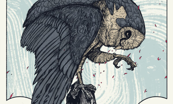 owl owl